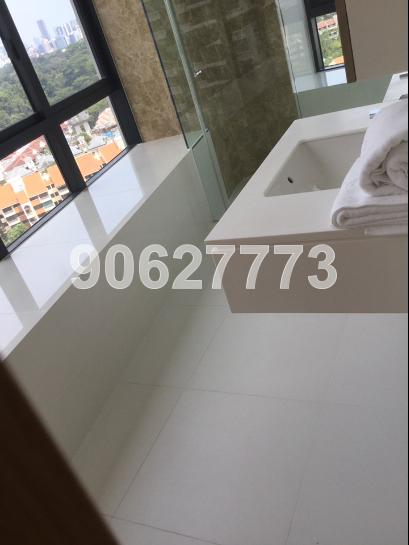 D'Leedon (D10), Condominium #43549962